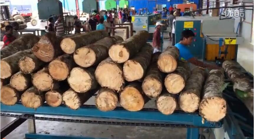 原木多片鋸 多片鋸 方木多片鋸 正啟機械廠 木工機械多片鋸