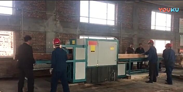 原木多片鋸工作視頻（圓木、方木一起加工）