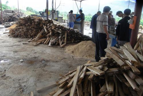 廣東省韶關市馬壩-方木多片鋸150高-加工現場