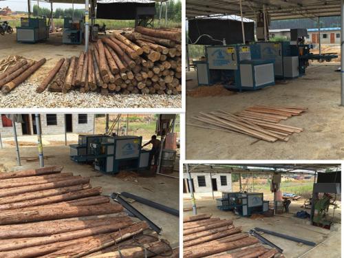 廣西南寧250型原木多片鋸客戶現場