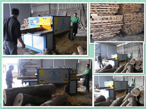 浙江-寧波-方木多片鋸高200-寬400的多片鋸加工現場