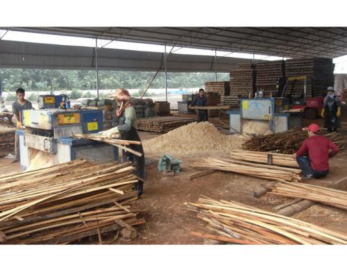 海南島-方木多片鋸加工現場0