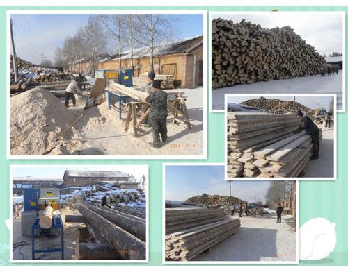 黑龍江伊春新青區(qū)-鋸洛葉松-350原木多片鋸-加工現(xiàn)場(chǎng)