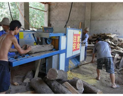 湖北省荊州市-圓木多片鋸25加工現(xiàn)場(chǎng)