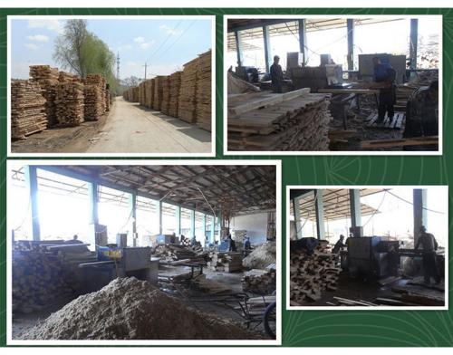 吉林梅河口-圓木300多片鋸-方木150高多片鋸加工現場